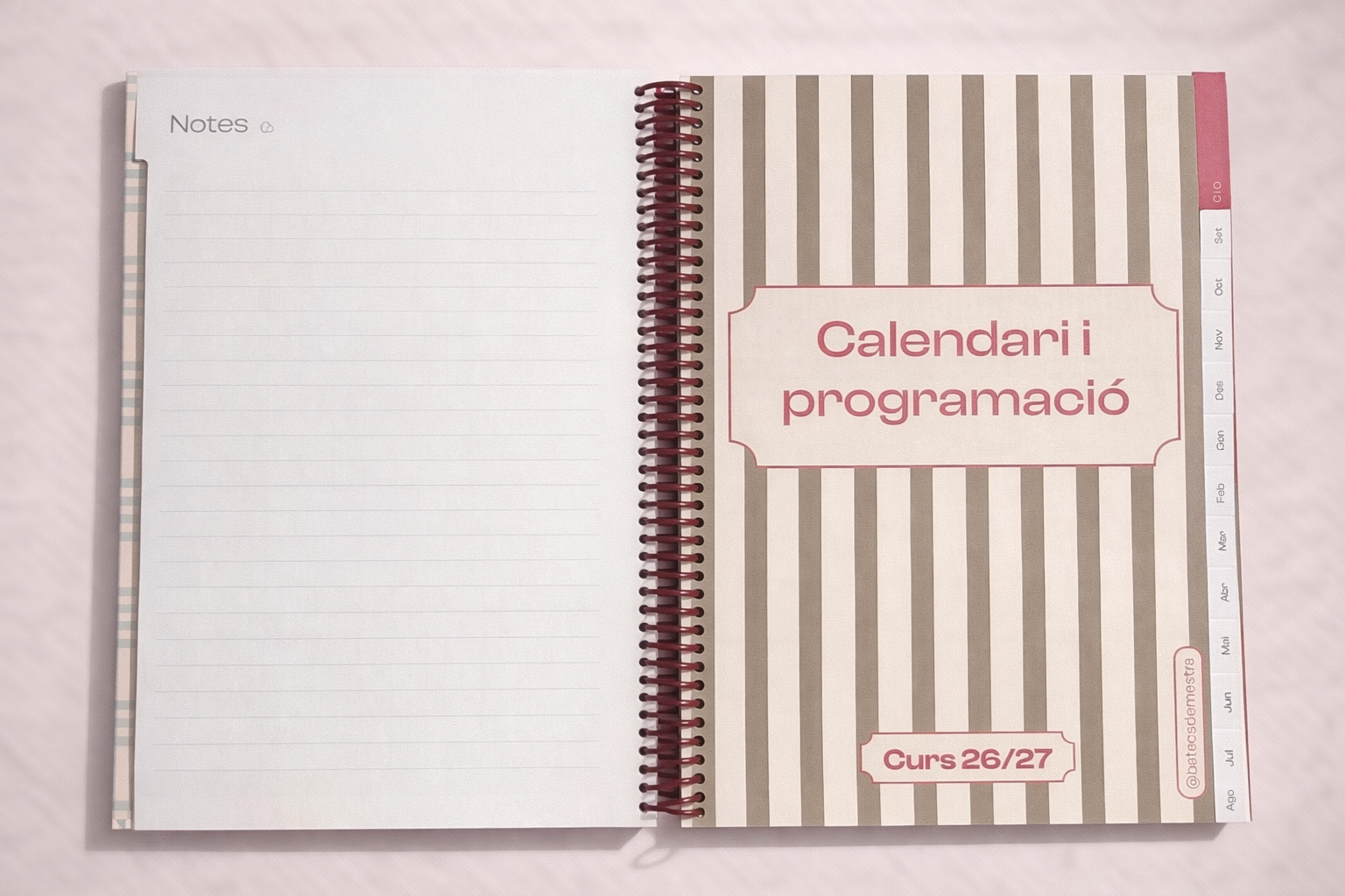 Agenda 26/27 - VICHY AZUL/TEJA