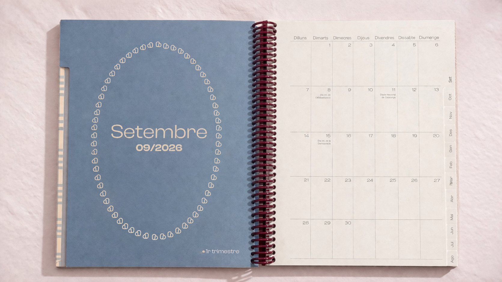 Agenda 26/27 - VICHY AZUL/TEJA