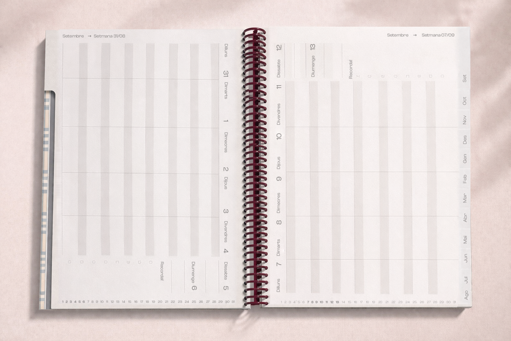 Agenda 26/27 - VICHY BLAU/TEULA
